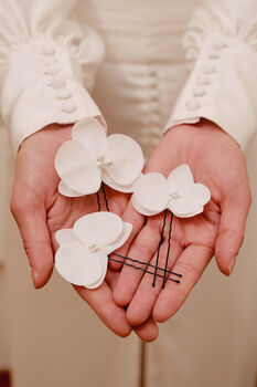 Set de pasadores con Orquídea